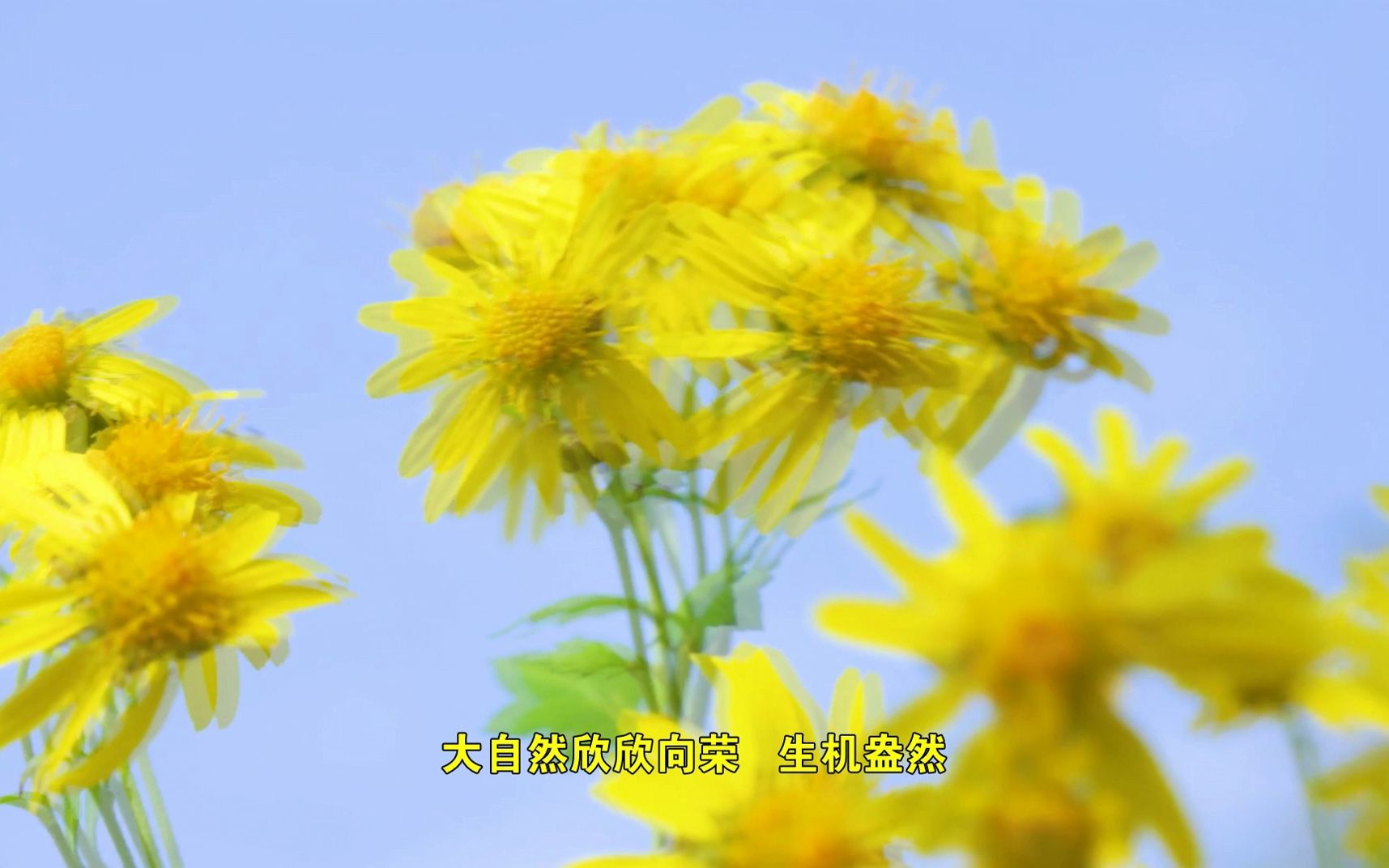 [图]清明时节雨纷纷，《礼记·月令》里是怎样记载清明节的呢？