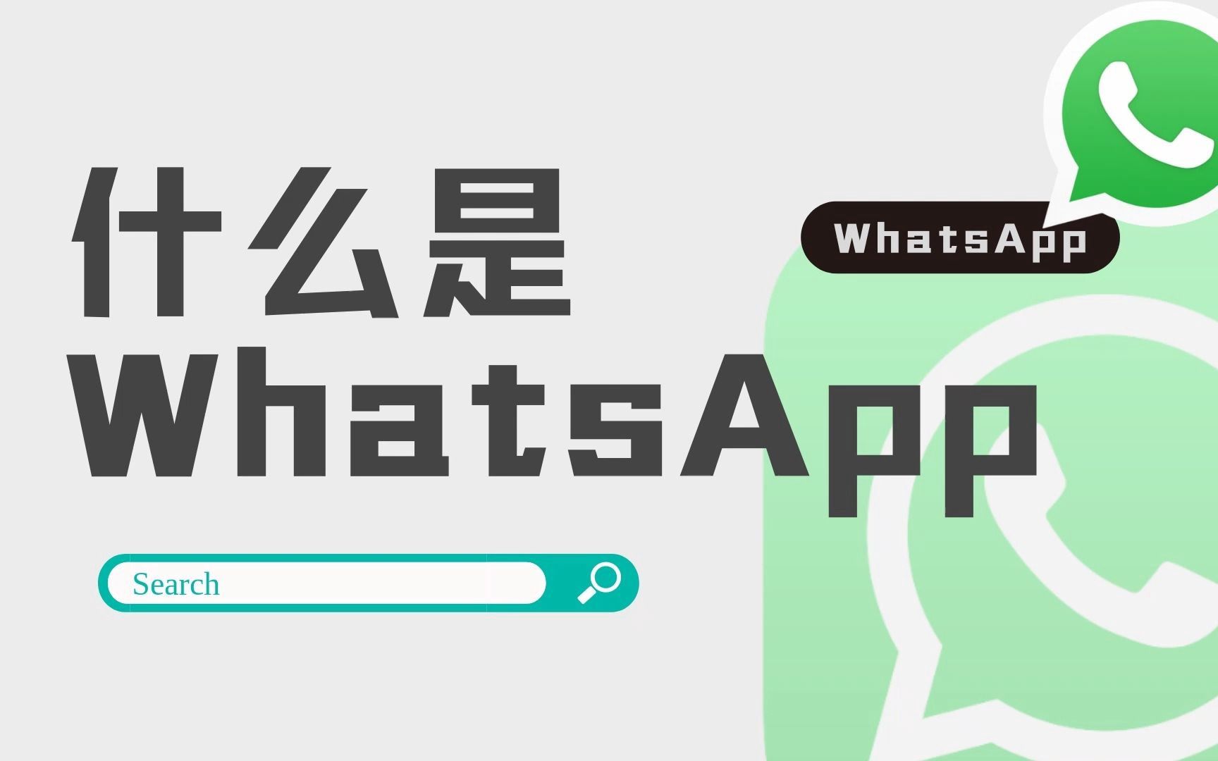 whatsapp是什么?【外贸猎客】哔哩哔哩bilibili