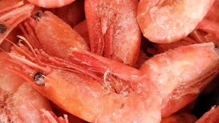 北极虾,颜色鲜红靓丽,极鲜,北极渔船打捞后立刻煮熟
