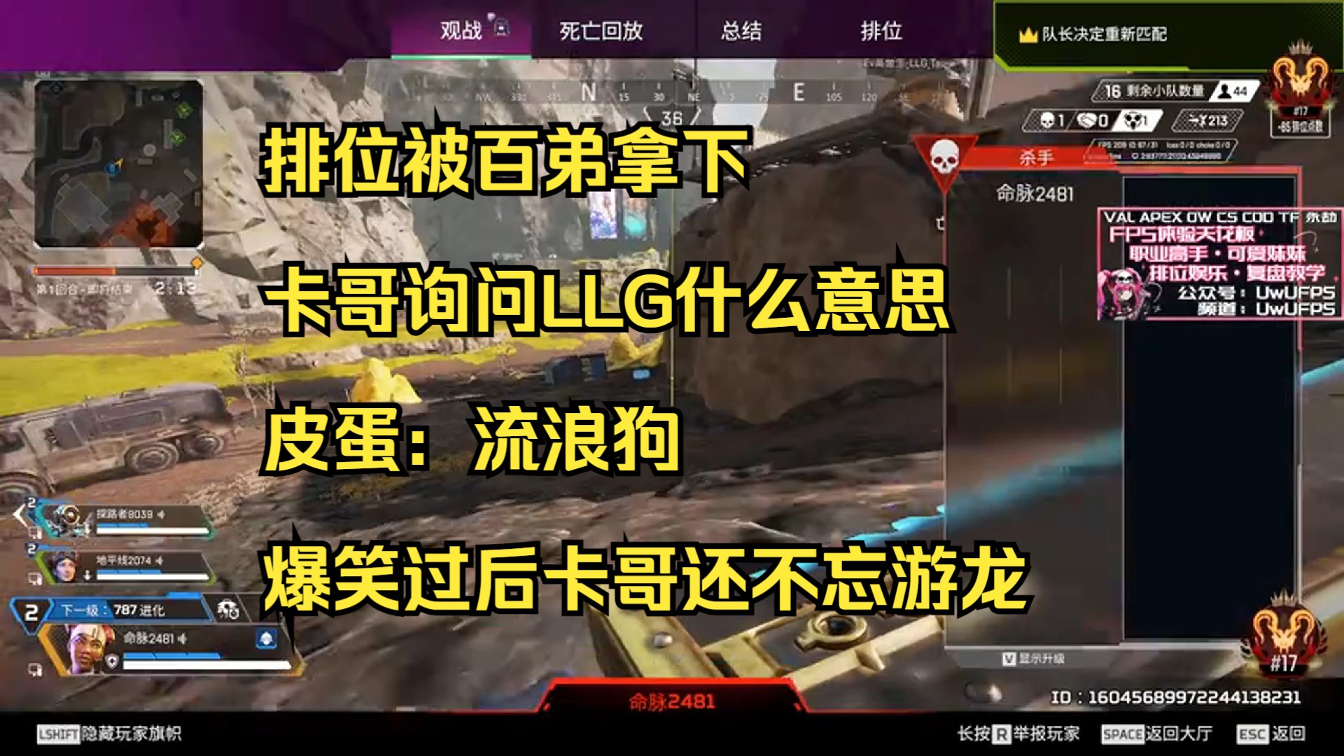 【青野】排位被百弟拿下,卡哥询问LLG什么意思,皮蛋:LLG吗,流浪狗APEX英雄