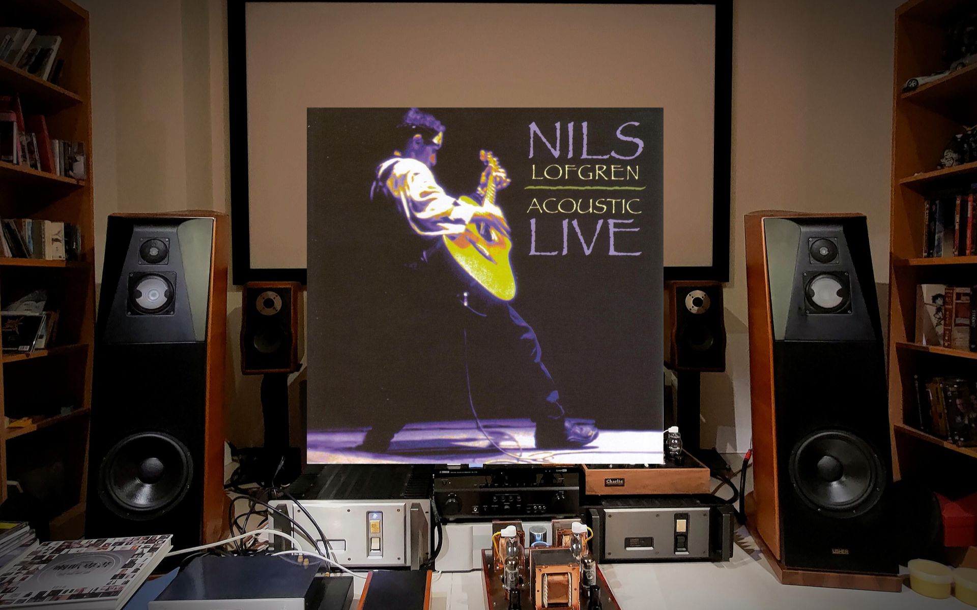 nils lofgren/ keith dont go -album: acoustic live - track:5