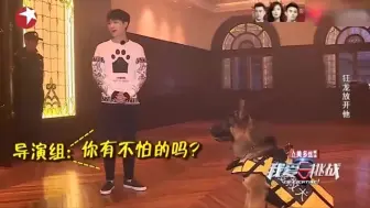 Download Video: 张艺兴看到德牧犬说自己害怕 导演说你还有什么是不怕的