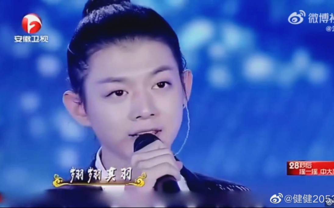 霍尊 歌曲《凤凰于飞》