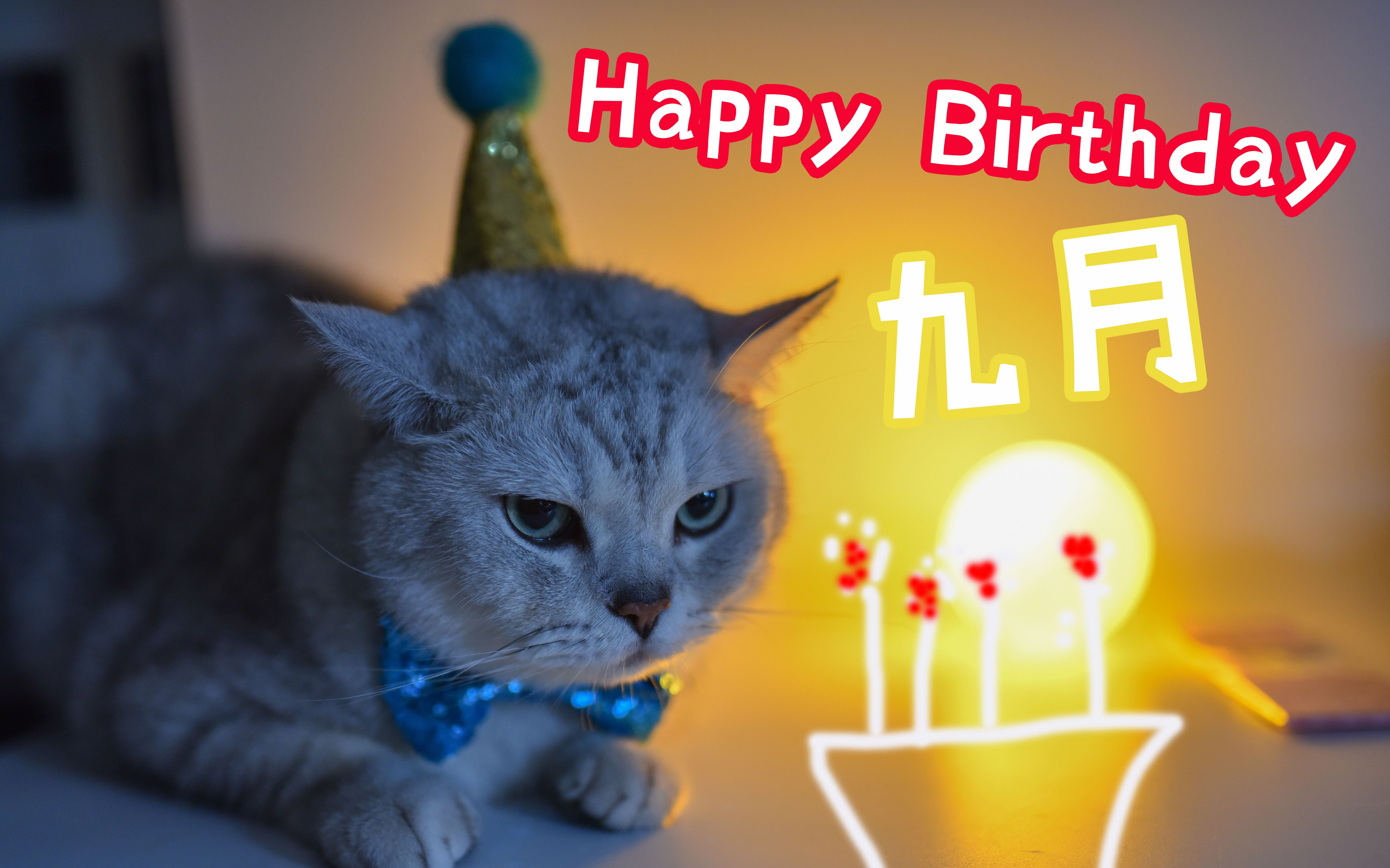 猫过生日如何吹蜡烛?嘻嘻_哔哩哔哩 (゜-゜)つロ 干杯~-bilibili