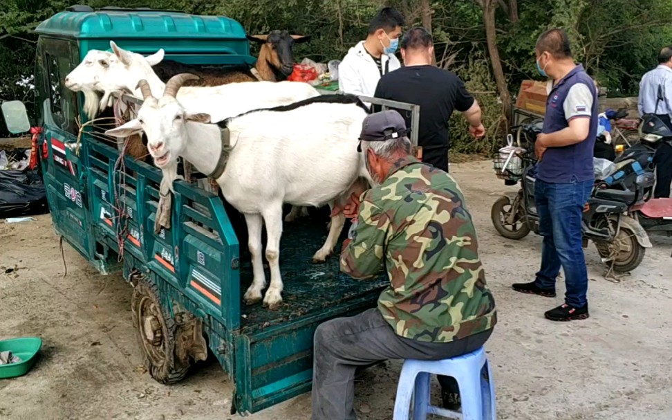 瀋陽二環旁集市擺攤費十元,現場擠羊奶排長隊