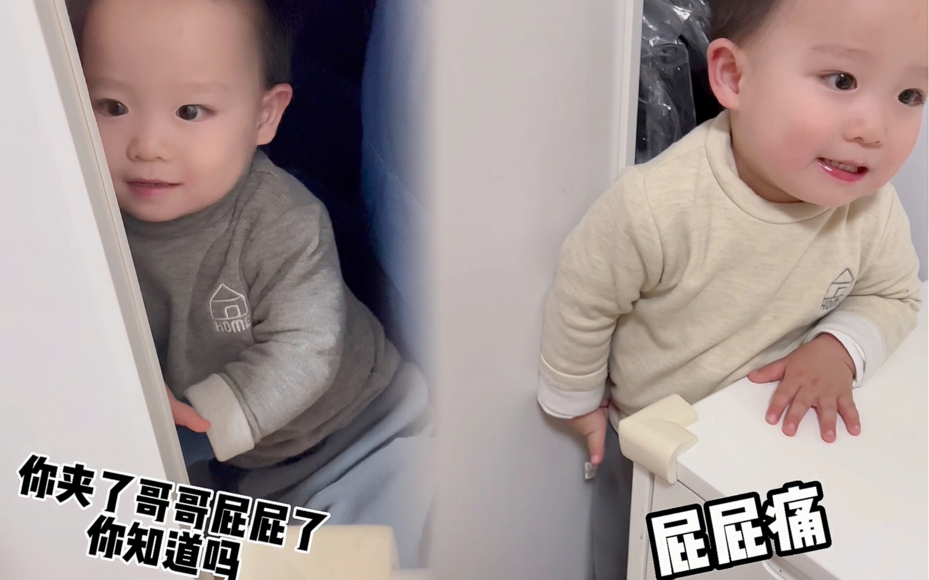 原来屁屁被夹住真的很痛!-胖团和胖圆-胖团和胖圆-哔哩哔哩视频