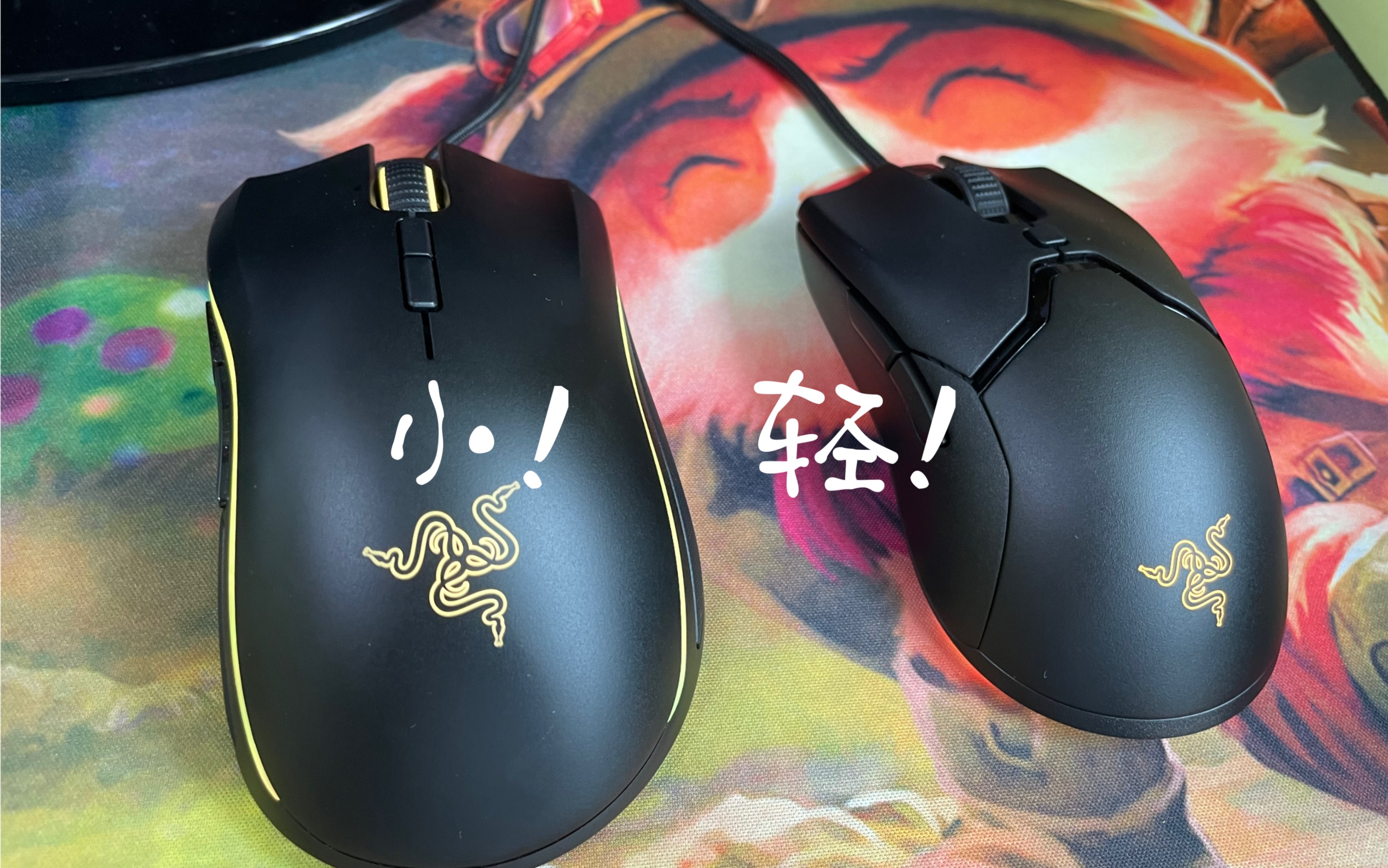 毒蝰mini使用体验