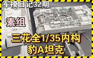 Download Video: 军模日记第32期—5天25小时，狂肝素组！三花1/35全内构豹A （中篇）