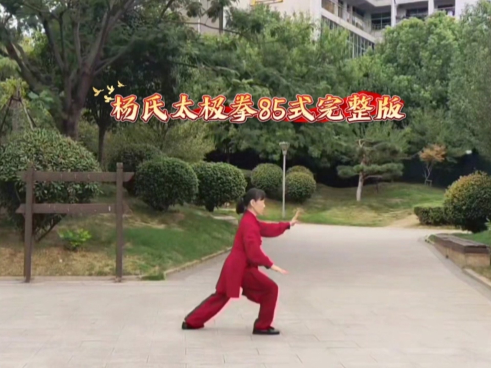 关于85式杨式太极拳乔振兴的信息 关于85式杨式太极拳乔振兴的信息（乔振兴85式太极拳视频口令） 太极拳