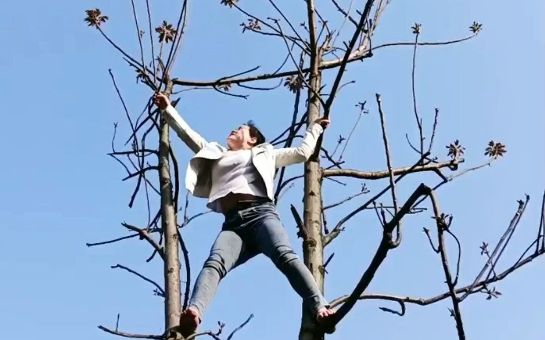 女子为摘花,竟公园内爬上高树