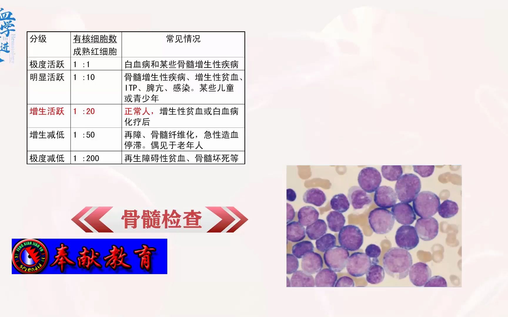 [图]1、血液病概论