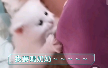 我要喝奶奶,我要喝奶奶哔哩哔哩bilibili