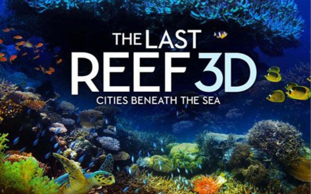 [图]【4K纪录片】《最后的珊瑚礁》The Last Reef 2012 UHD