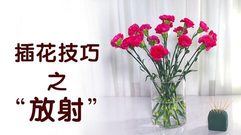 大叔说花 家庭插花的小技巧 花怎么插才能自然平顺 哔哩哔哩 大叔说花 家庭插花的小技巧 花怎么插才能自然平顺 哔哩哔哩