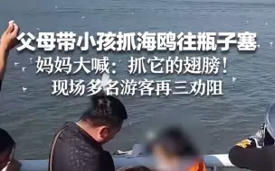 下载视频: 父母带小孩抓海鸥往瓶子塞，妈妈大喊：抓它的翅膀！现场多名游客再三劝阻