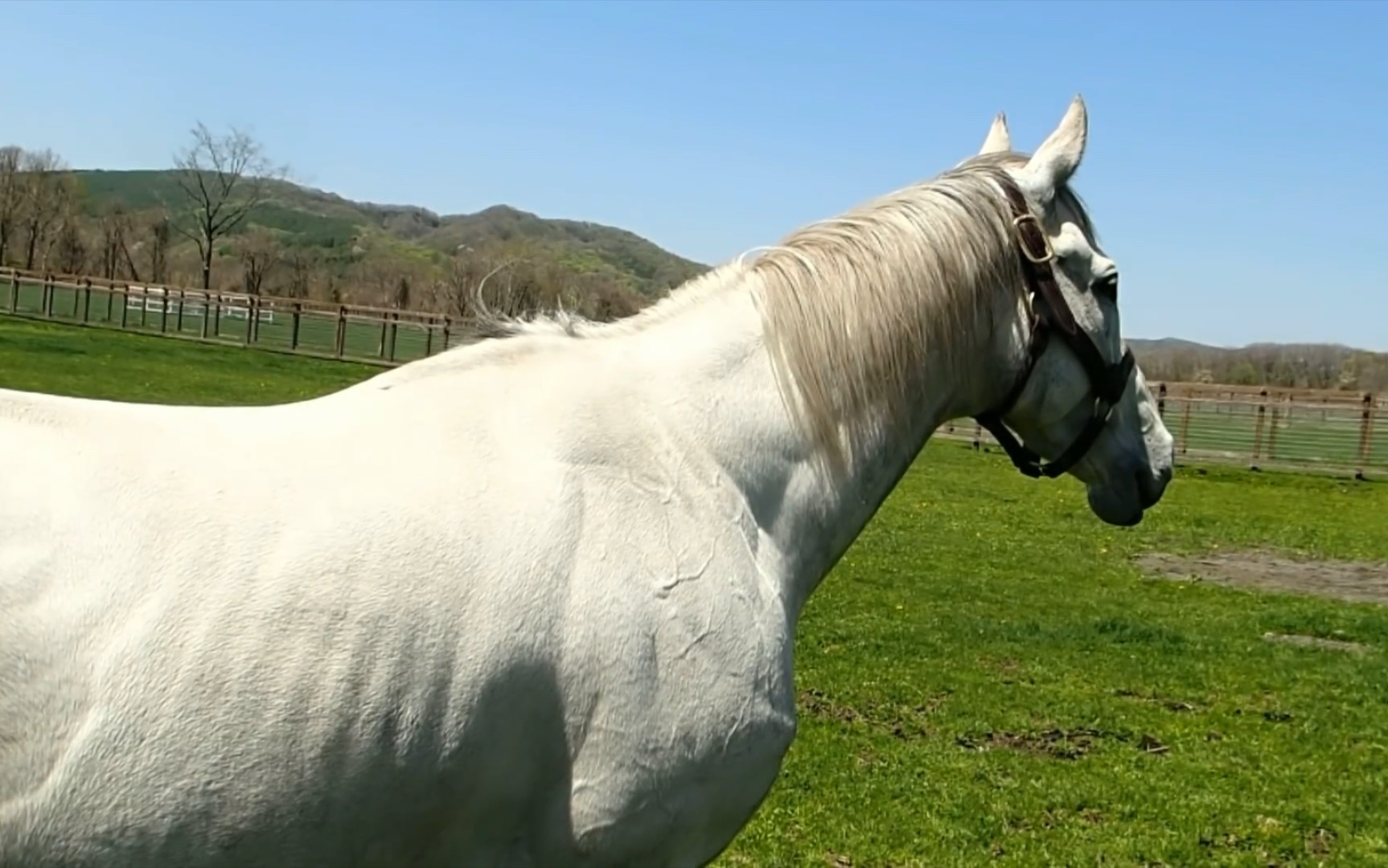 黄金船母星母星呼叫母星听的到吗