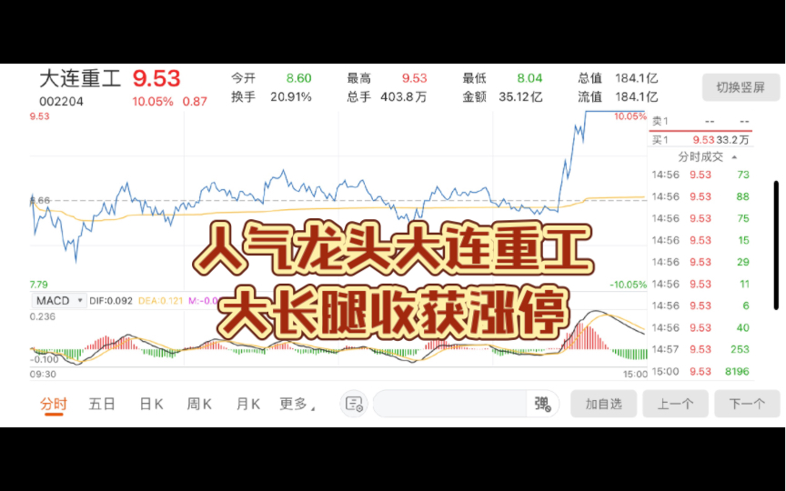 人气龙头大连重工大长腿收获涨停哔哩哔哩bilibili