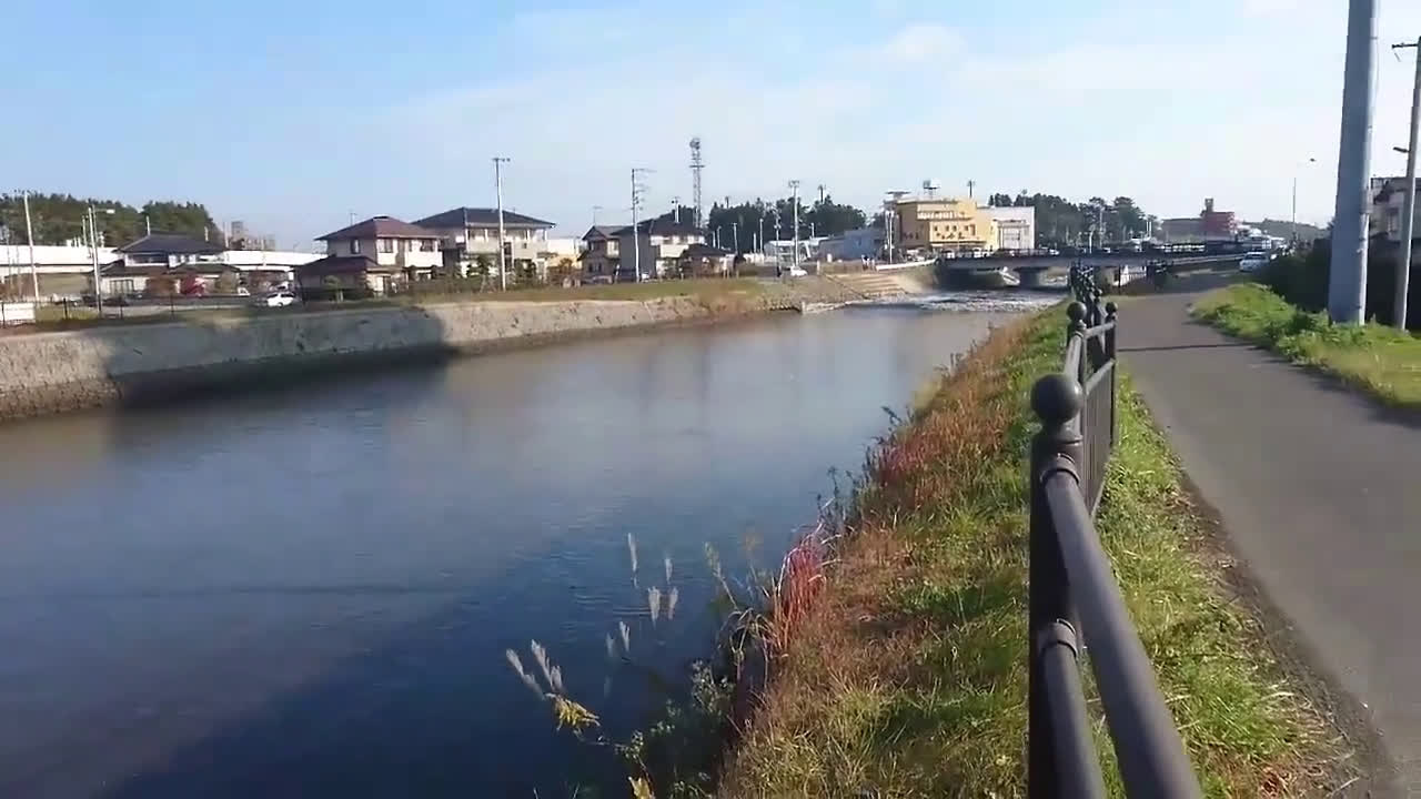 日本地震引发海啸哔哩哔哩bilibili