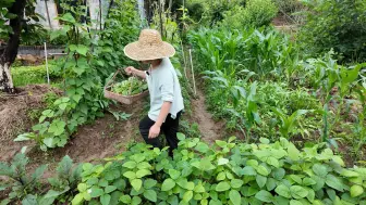 Скачать видео: 回村3年 有了自己的小菜园