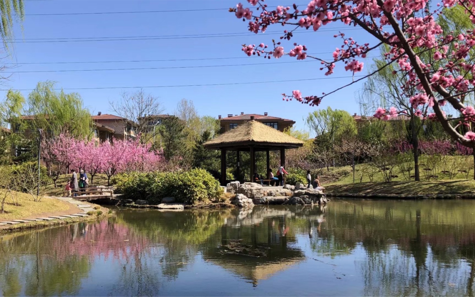 活动作品北京巴沟山水园美景打卡
