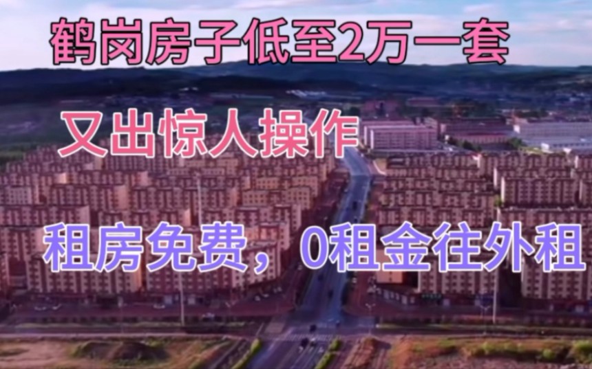 鹤岗房价低至2万一套,房东又出惊人操作,租房免费,0租金往外租哔哩哔哩bilibili