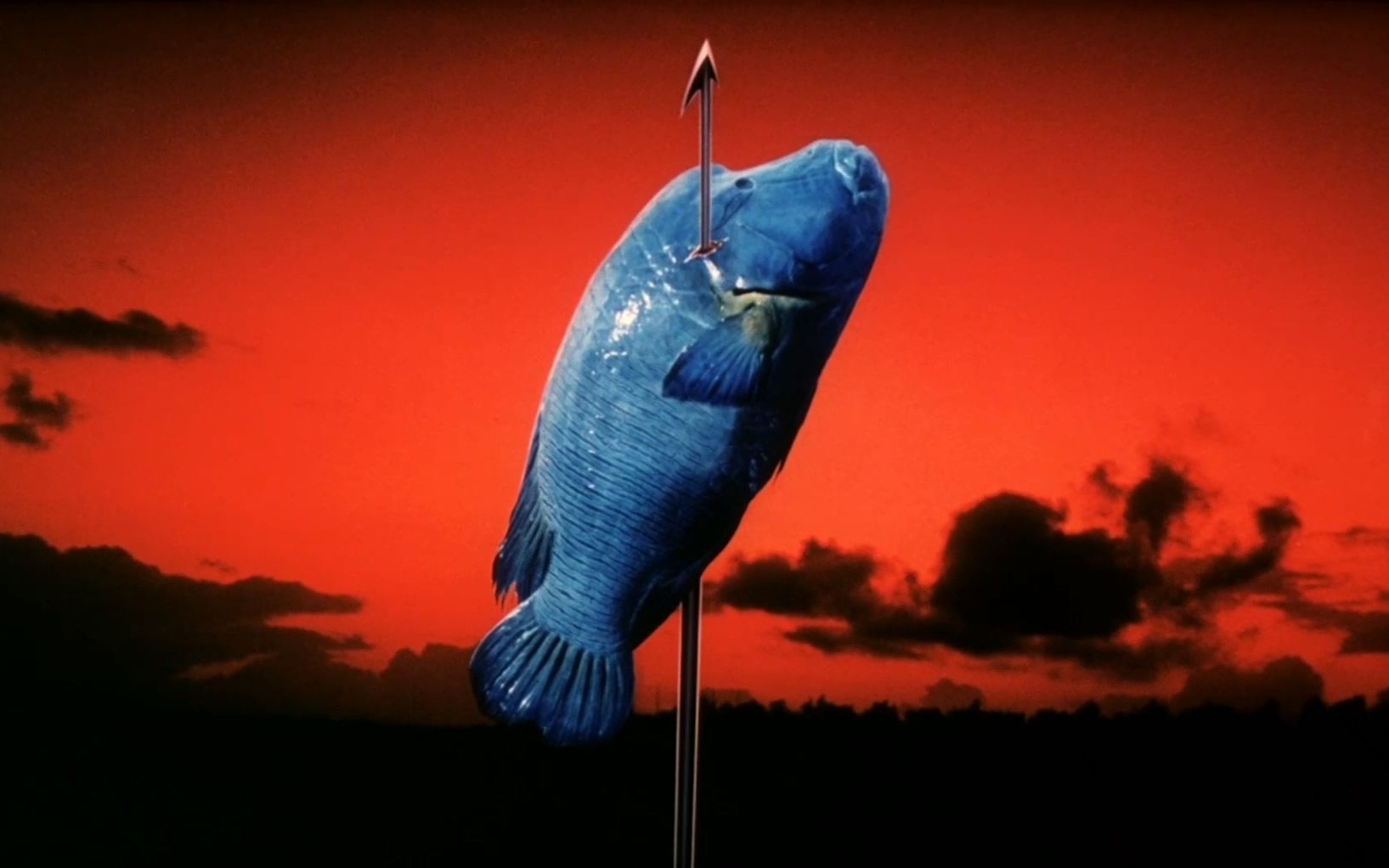 072720北野武奏鸣曲