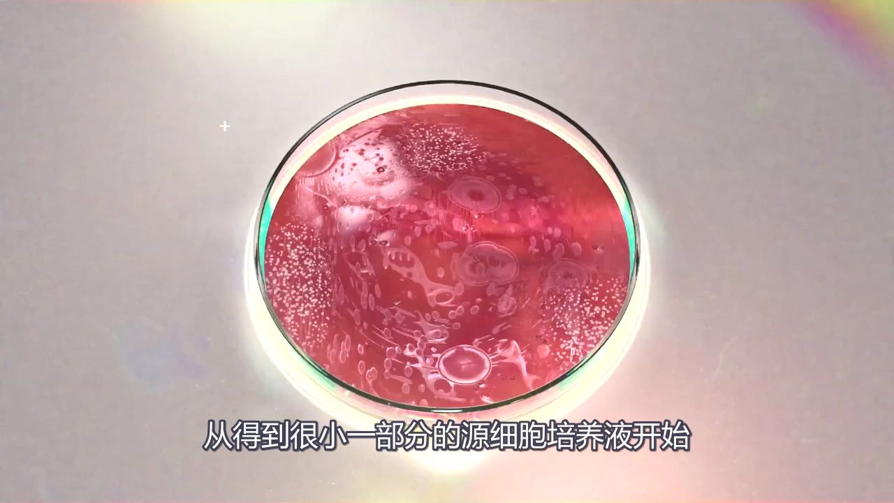 Sanofi – Making vaccines(疫苗的生产)哔哩哔哩bilibili