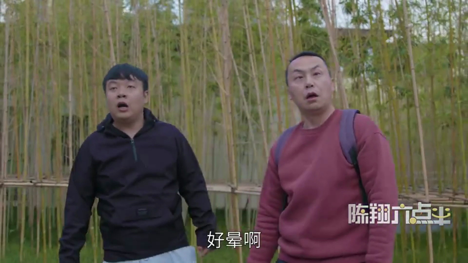 盘点小偷搞笑合集,小偷好不容易才偷到钱,结果被蘑菇头给截胡了