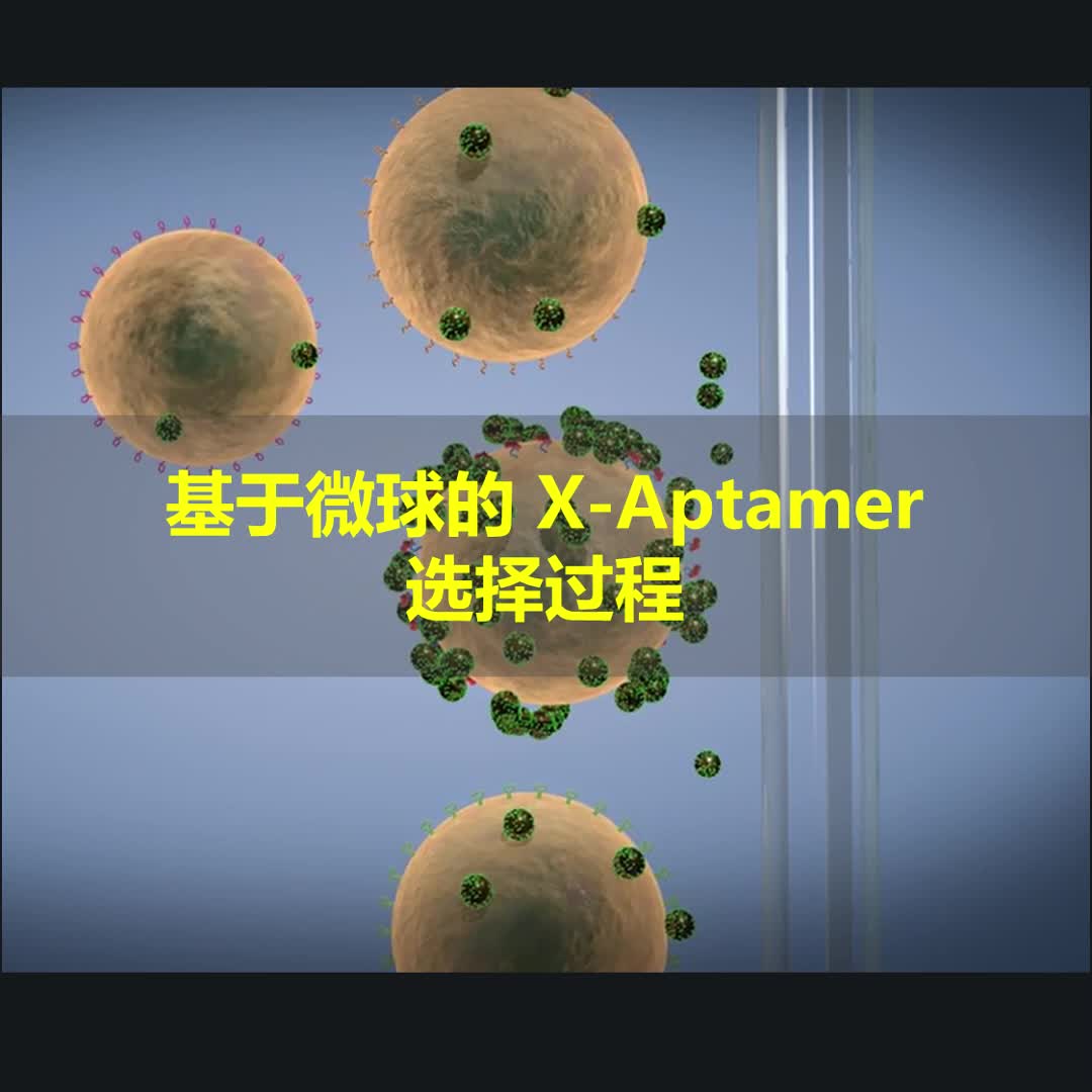 基于微球的X Aptamer选择过程哔哩哔哩bilibili