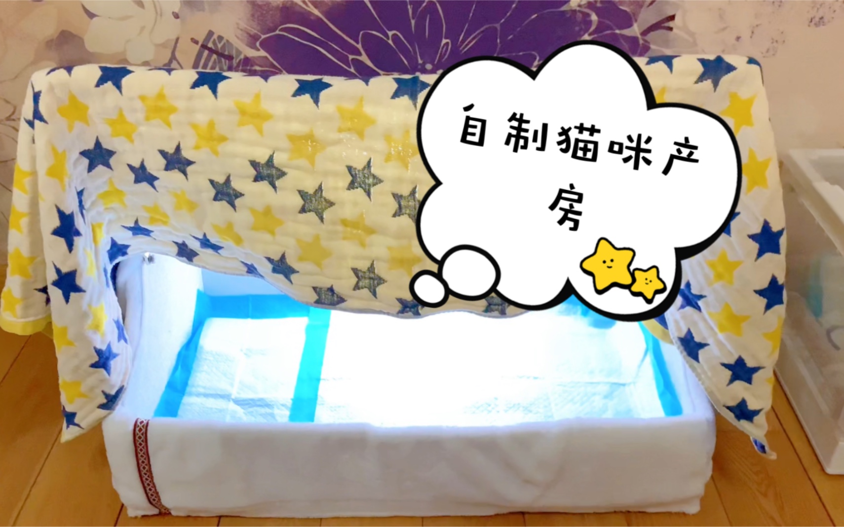 自制猫咪产房