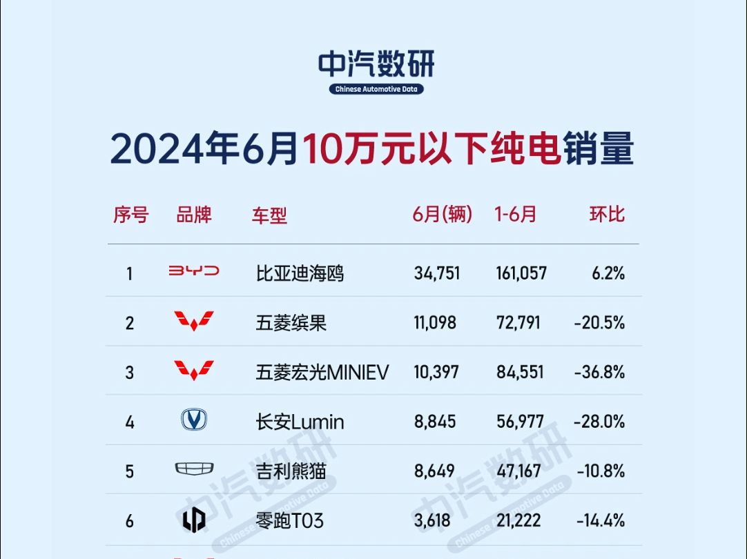 2024年6月纯电动汽车销量排行(按价格区间)哔哩哔哩bilibili