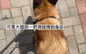 Download Video: 遛退役搜救犬的时候遇到了一对母女