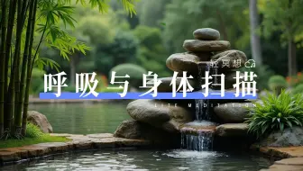 Descargar video: 正念冥想 | 带入呼吸的身体扫描，让你达到全身心的放松