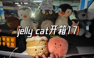 Descargar video: jelly cat开箱 17期啦