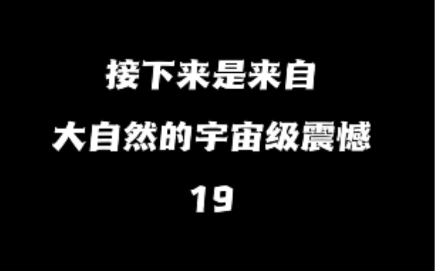 【取图看置顶评论】观看建议:擦干净手机屏幕,打开护眼模式,手机亮度调到最大,一起感受来自大自然的震撼!哔哩哔哩bilibili