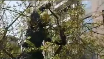 小区里有蛇！消防员紧急“抓捕”