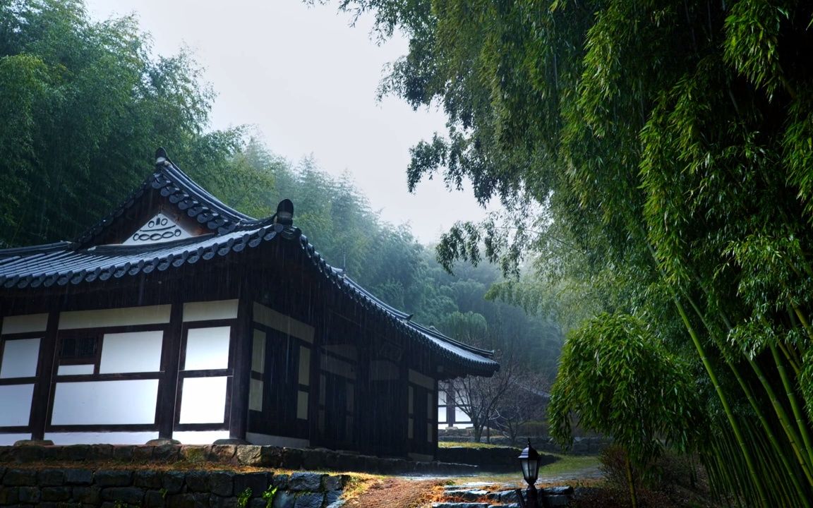 韩国安山市四世忠烈门韩屋院落雨声渐浓郁的竹林