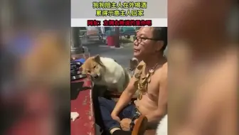 狗狗陪主人在外喝酒，累得示意主人回家。结果网友却发现，左拥右抱。