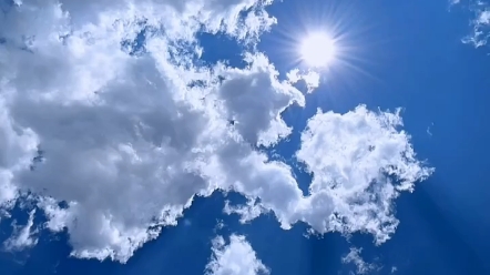 今天阳光真好,天气晴朗.
