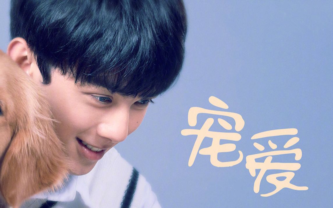 活动  【宠爱】豪七,谁最爱我?