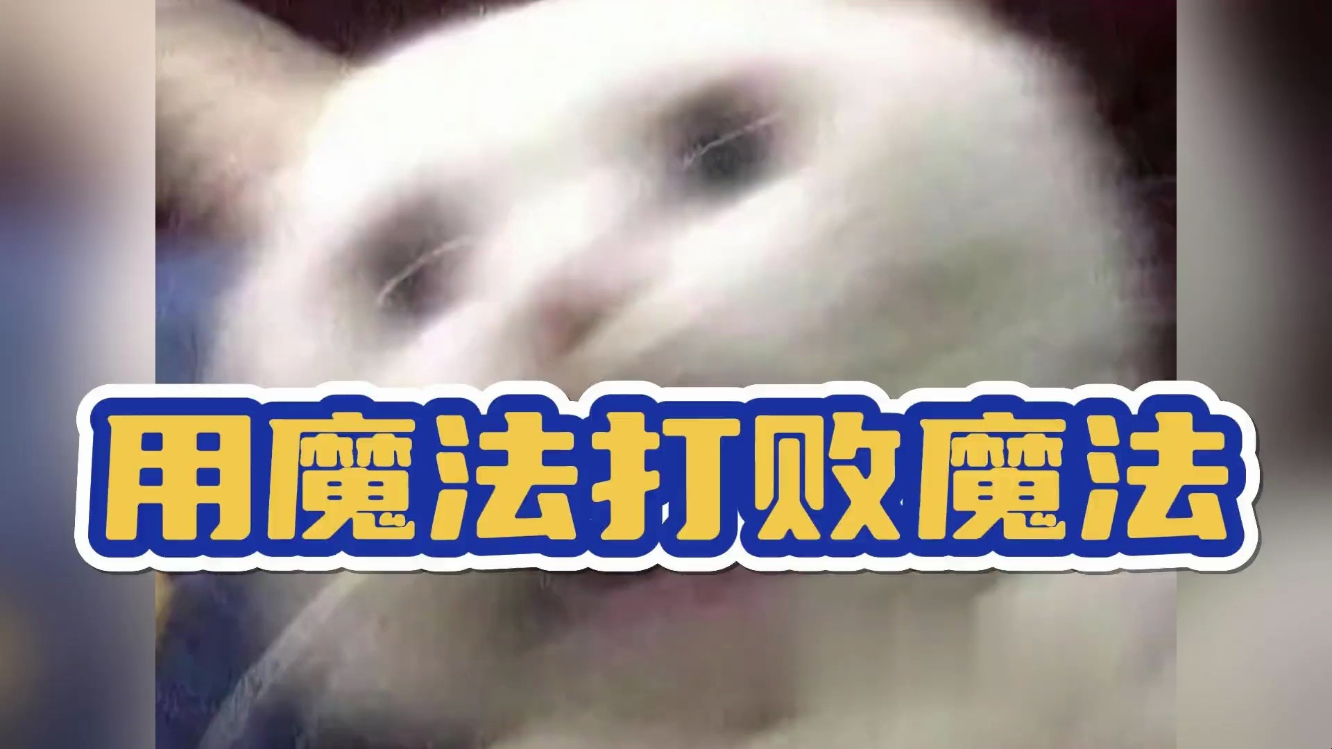 用魔法打败魔法,正义从来不会缺席,可他俩如果是情侣呢?