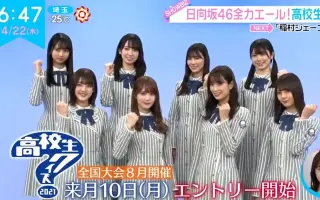 智力大竞赛 搜索结果 哔哩哔哩 Bilibili