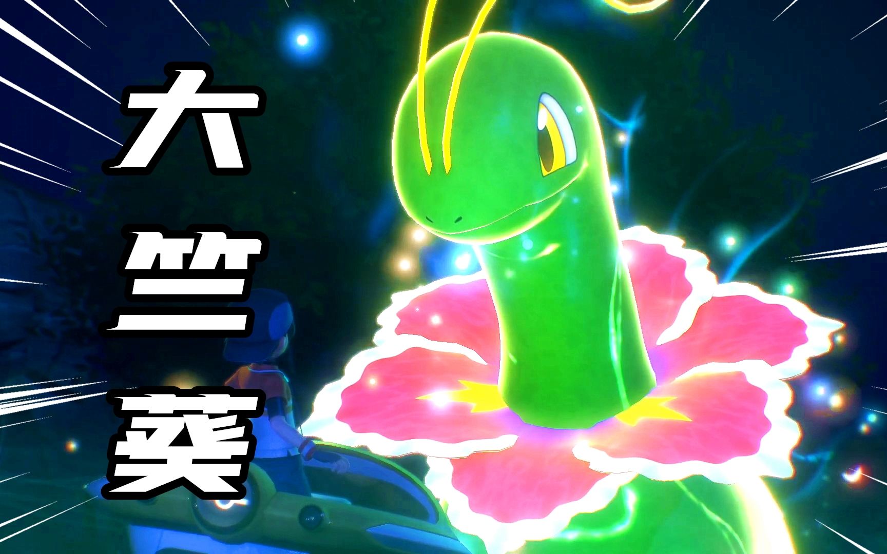 宝可梦随乐拍前往蓝蒂尔地区冒险遇到霓光宝可梦大竺葵