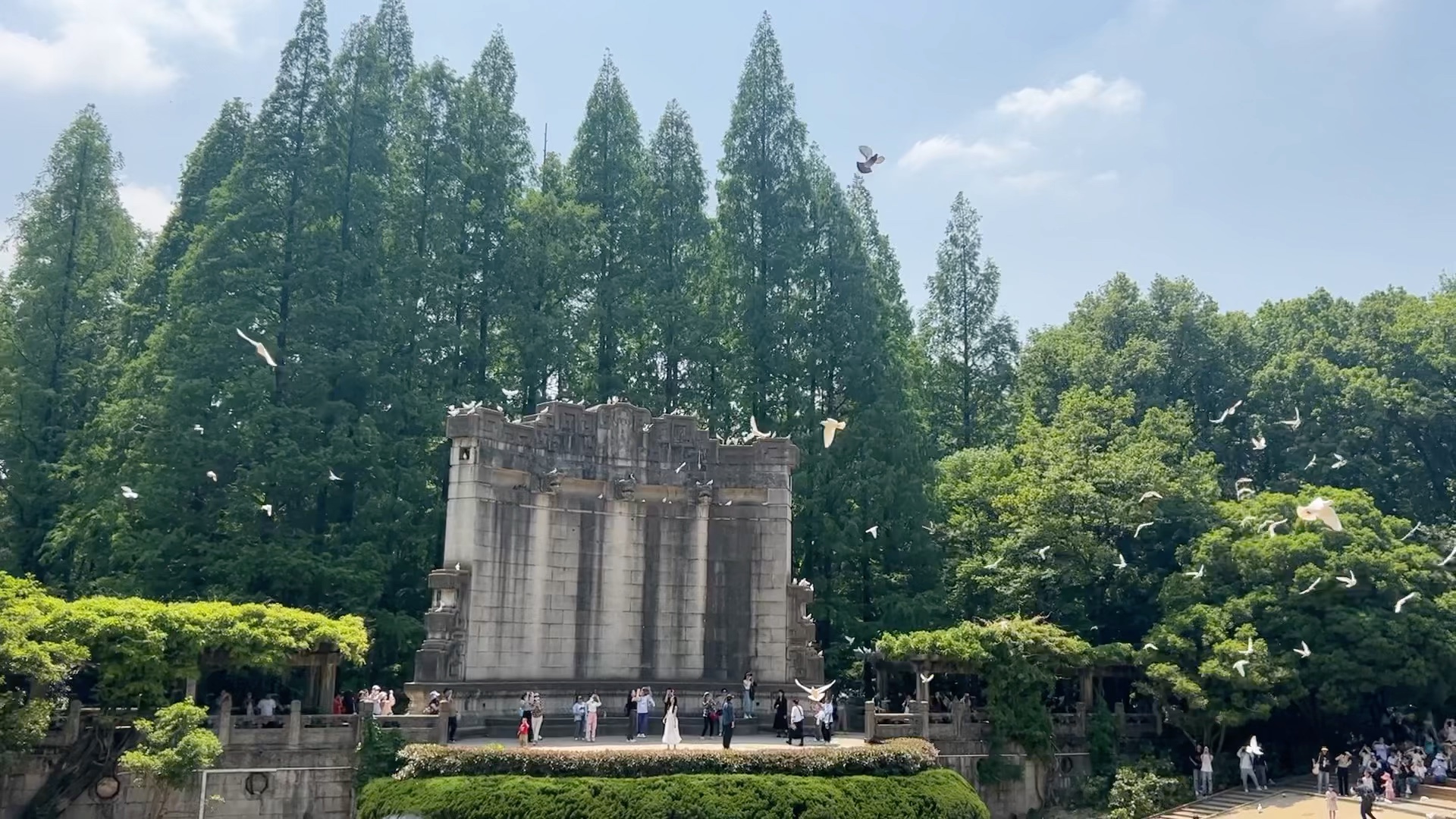 夏日白鸽,南京音乐台