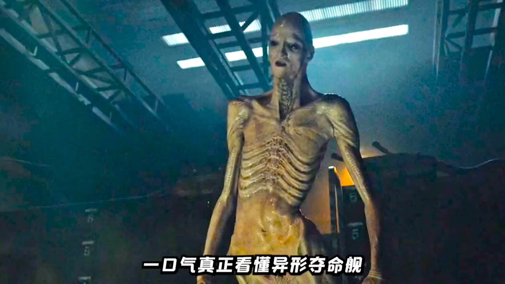 一口气真正看懂异形夺命舰,因为很多观众从电影一开始就完全理解错了