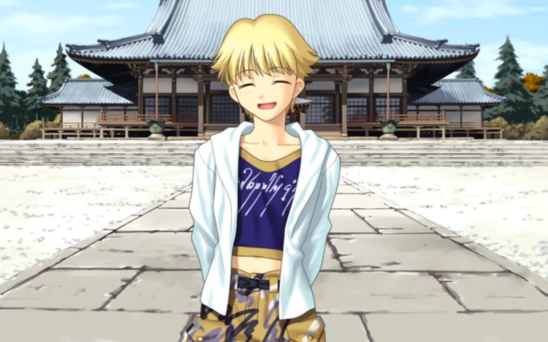 【fate/ha】当金闪闪变成卡哇伊少年 你把持得住吗?