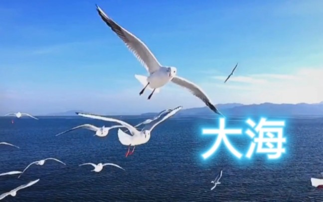 让心如大海,容纳生活中的酸甜苦辣.