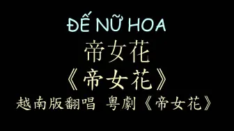 【越南版翻唱】粤剧《帝女花》汉喃歌词 喃汉对译 ĐẾ NỮ HOA - Minh Quân , SNN Hà Mỹ Anh