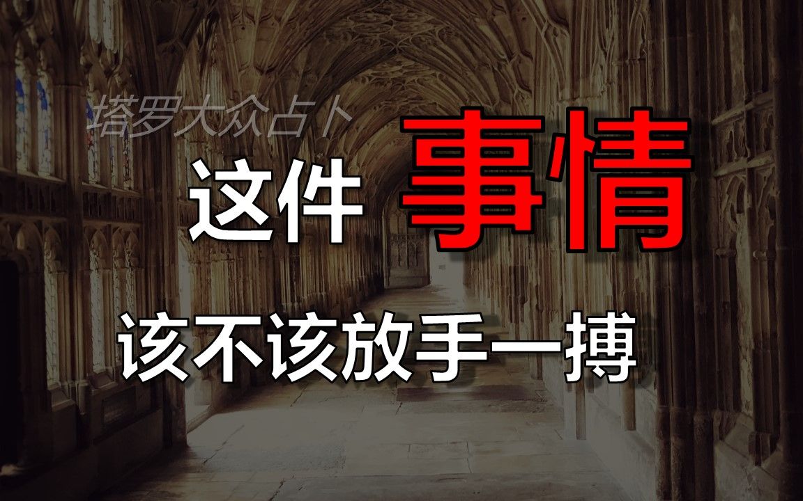 这件事情该不该放手一搏 | 大众塔罗占卜 | korro_tarot_哔哩哔哩