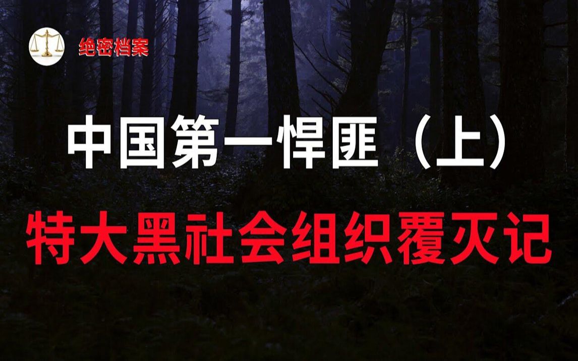 [图]中国第一悍匪（上），特大黑社会组织覆灭纪实，十四名重刑犯全部死刑！ - 大案要案纪实录 - 绝密档案